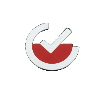 Check Mark Icon